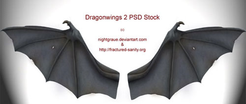 Dragon wings free psd file